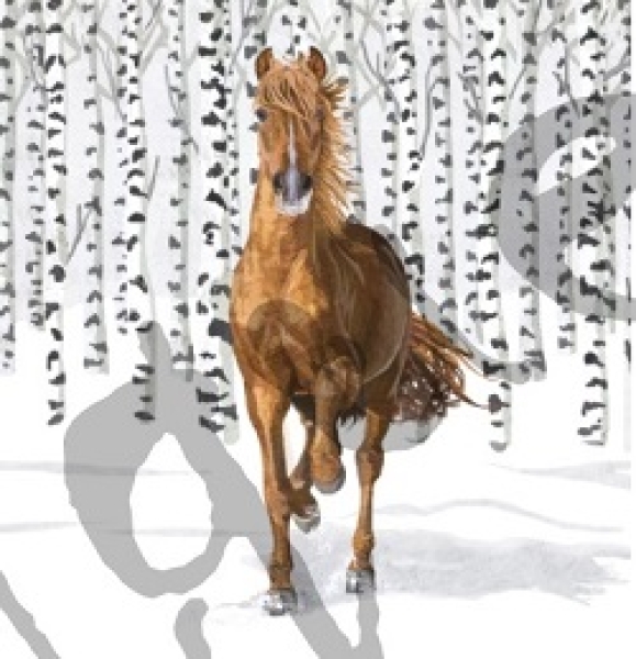 Serviette wilderness horse