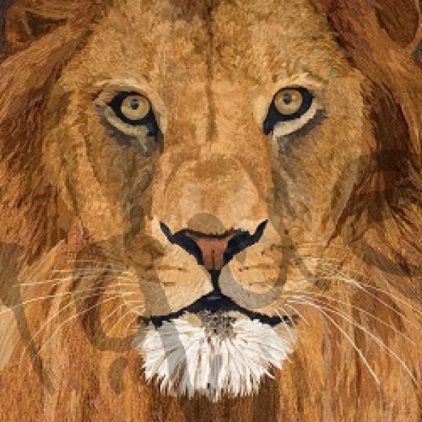 Serviette sauvage lion