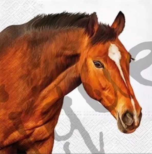 Serviette horse head