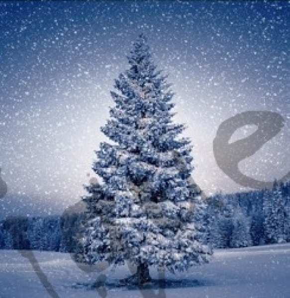 Serviette magic tree