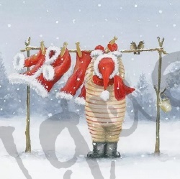 Serviette laundry day