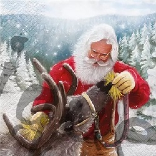 Serviette feeding the reindeer