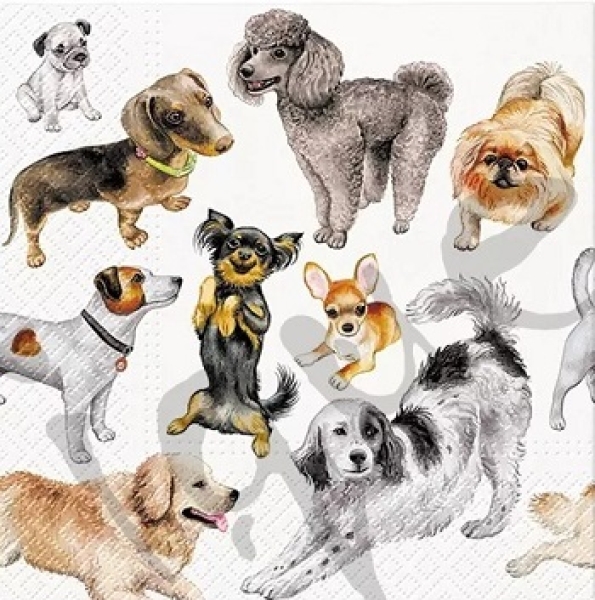 Serviette dogs happiness