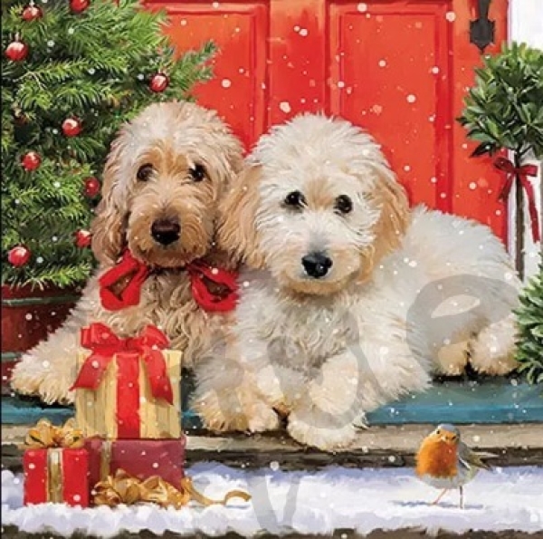 Serviette dogs at the door