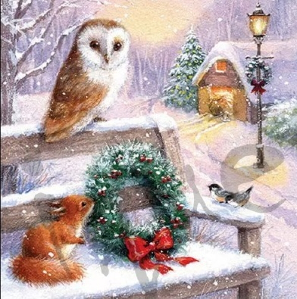 - Kopie - Kopie - Kopie