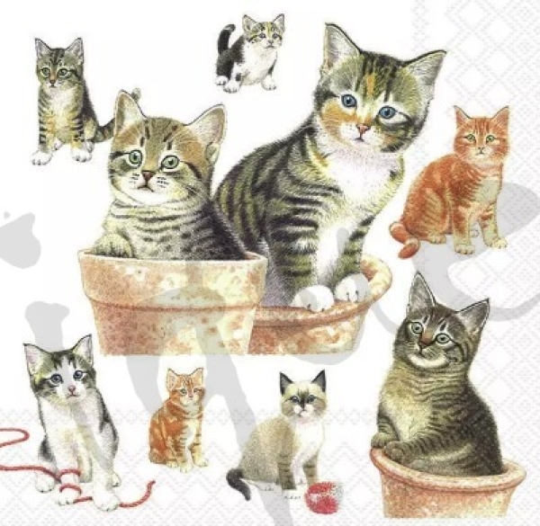 Serviette cute kittens