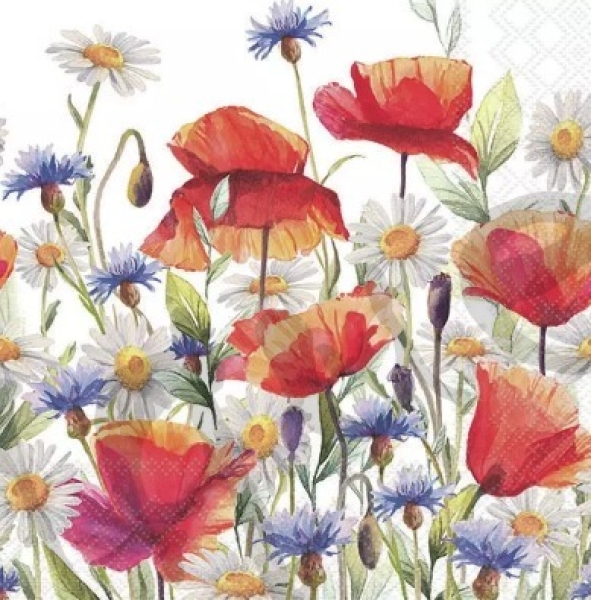 Serviette poppies and cornflowers