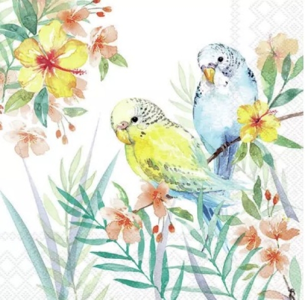 Serviette budgies couple