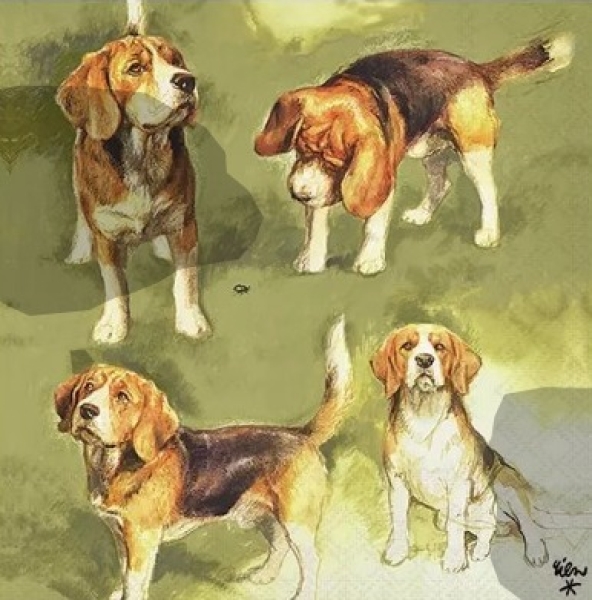 Serviette beagles