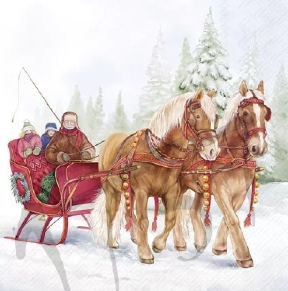 Serviette winter sleigh ride