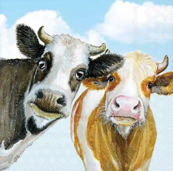 - Kopie - Kopie - Kopie