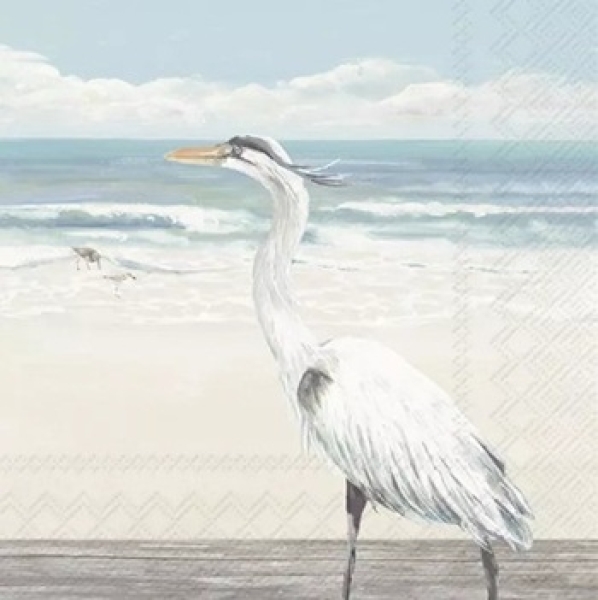 Serviette egret on the beach