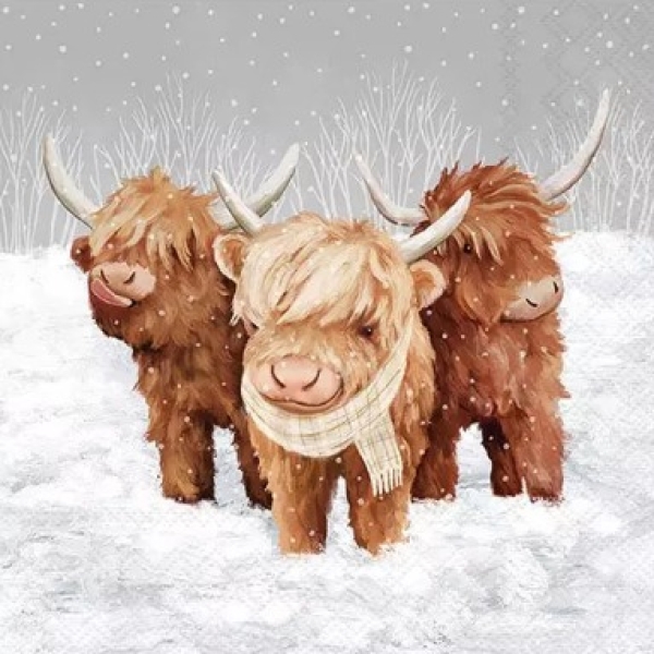 - Kopie - Kopie - Kopie