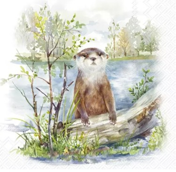 Serviette otter