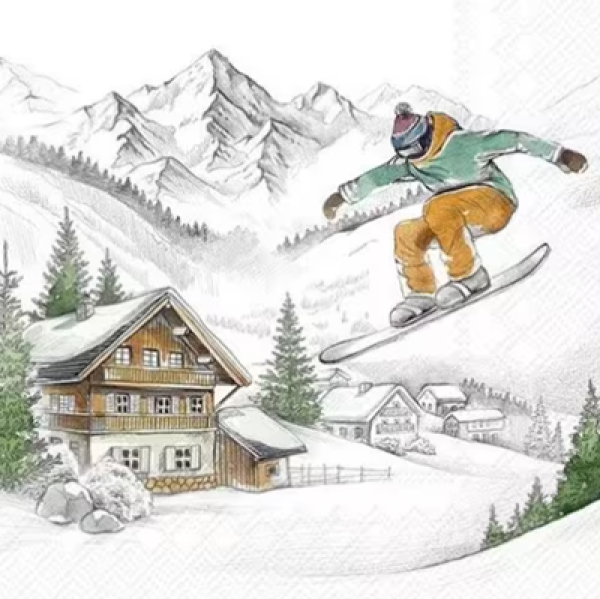Serviette ski vacations