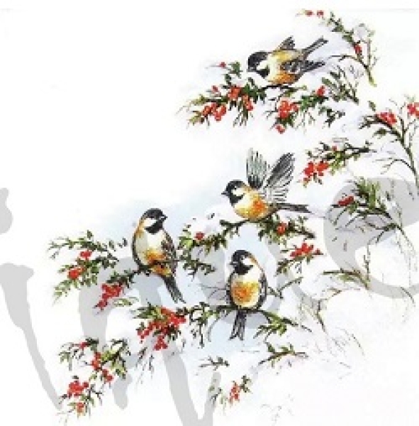 Serviette shophy's birds