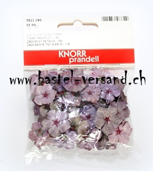 Sternblüten flieder