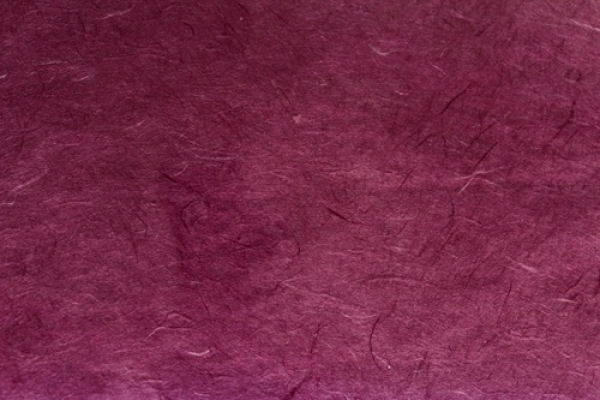 - Kopie - Kopie - Kopie