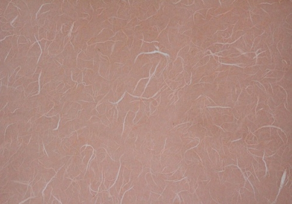 - Kopie - Kopie - Kopie - Kopie - Kopie - Kopie - Kopie