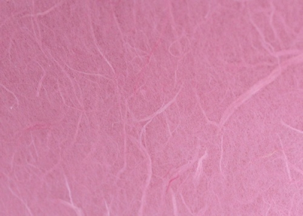 - Kopie - Kopie - Kopie - Kopie - Kopie - Kopie