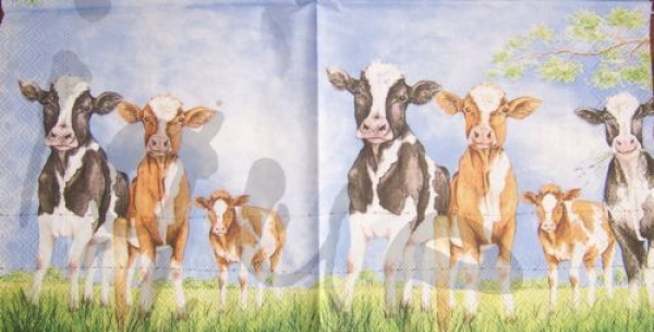 - Kopie - Kopie - Kopie - Kopie