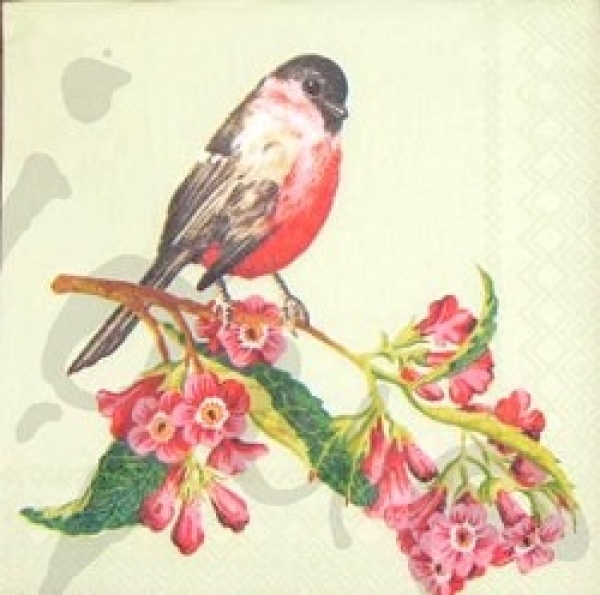 Serviette songbird (grün)