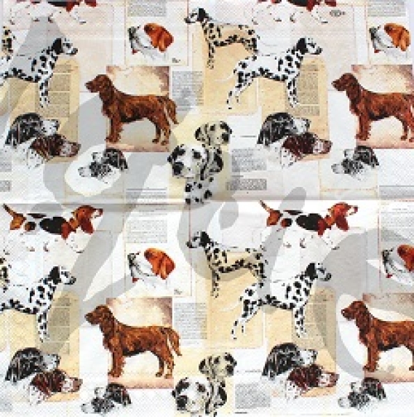 Serviette jagdhunde