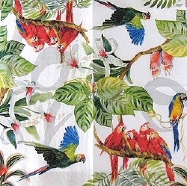 - Kopie - Kopie - Kopie - Kopie - Kopie