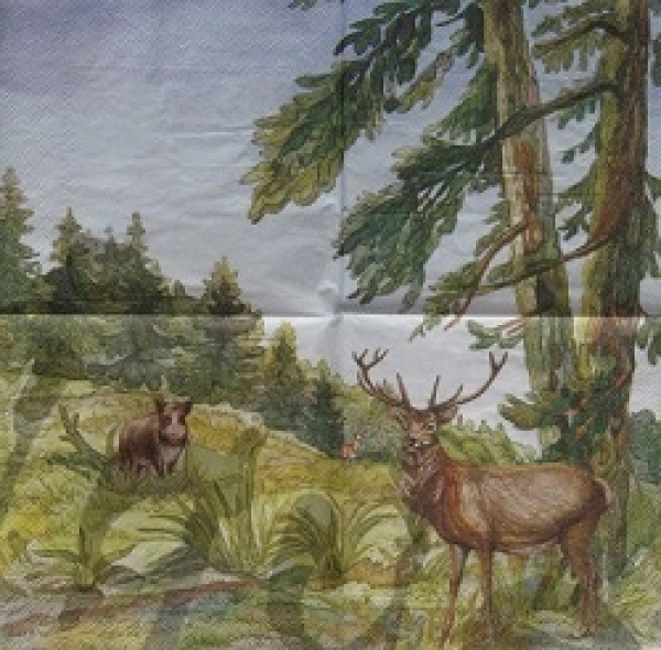 Serviette scene in the forest