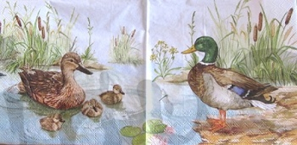 Serviette entenfamilie