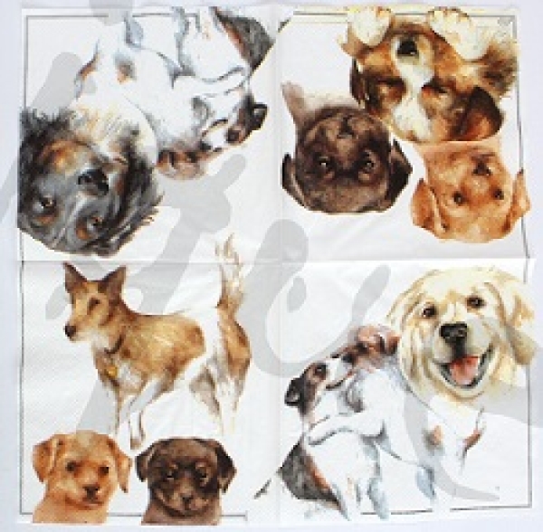 Serviette verschiedene hunde