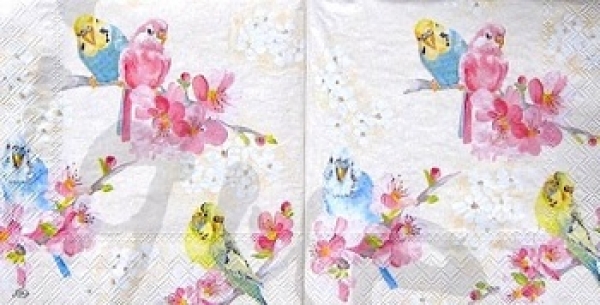 Serviette wellensittich