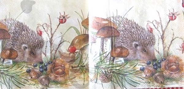 Serviette nosy little hedgehog