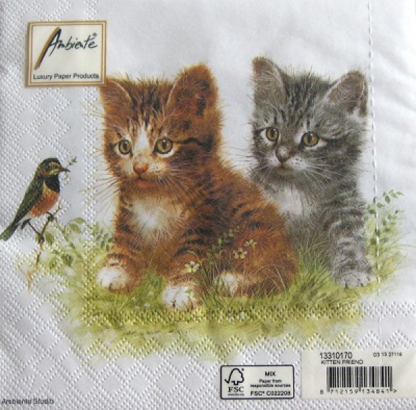 Serviette 2 kätzchen