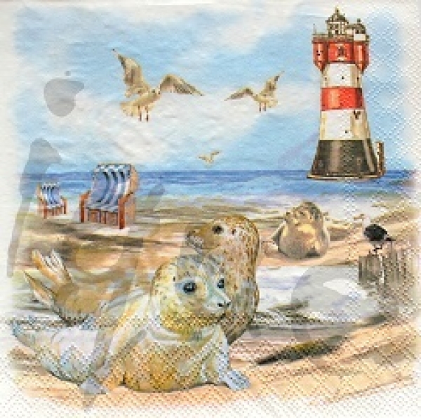 Serviette seals on beach