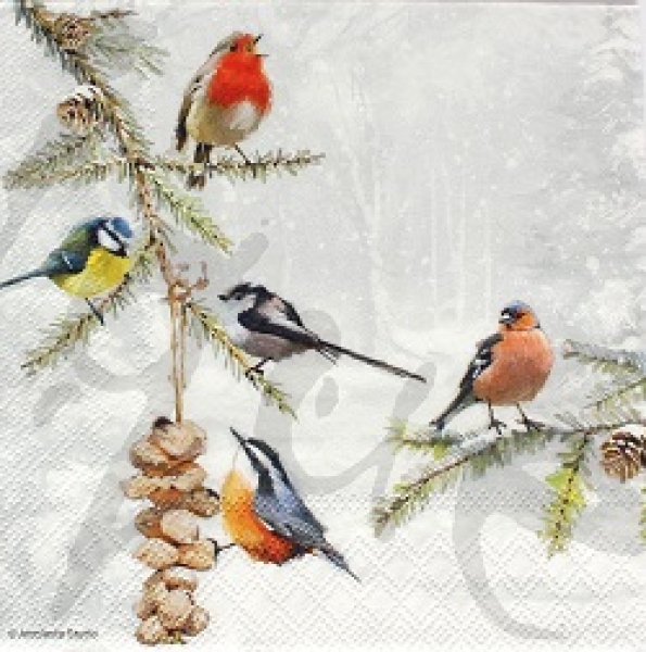 Serviette all together