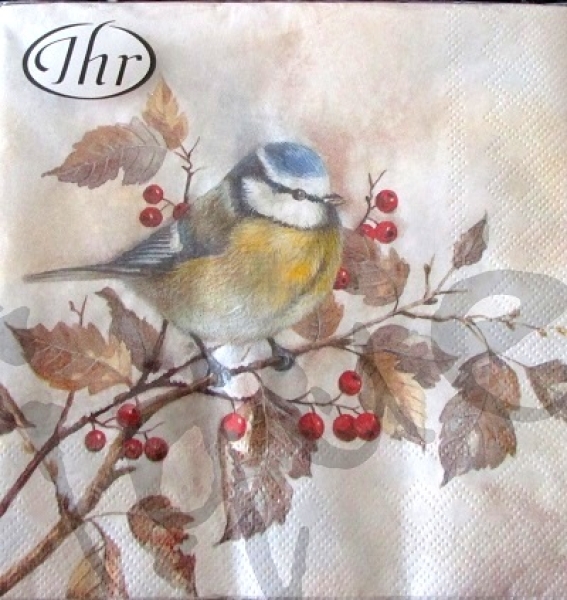 Serviette meisli auf ast