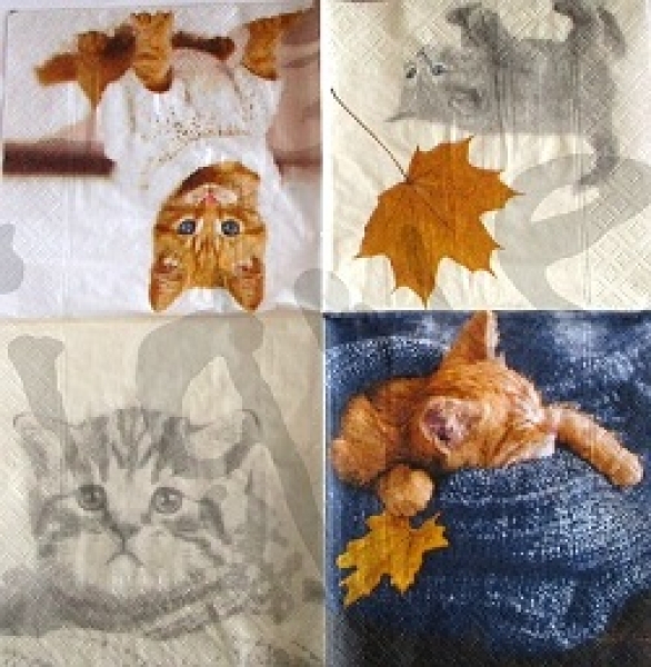 - Kopie - Kopie - Kopie - Kopie - Kopie - Kopie