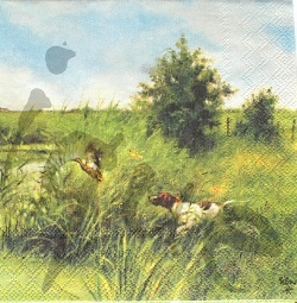 Serviette dog hunts ducks