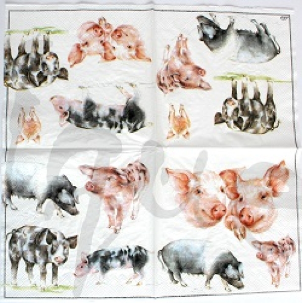 Serviette schweine