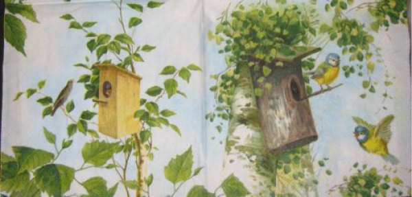 Serviette meisen beim vogelhaus