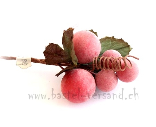 Beerenzweig gefrostet rot