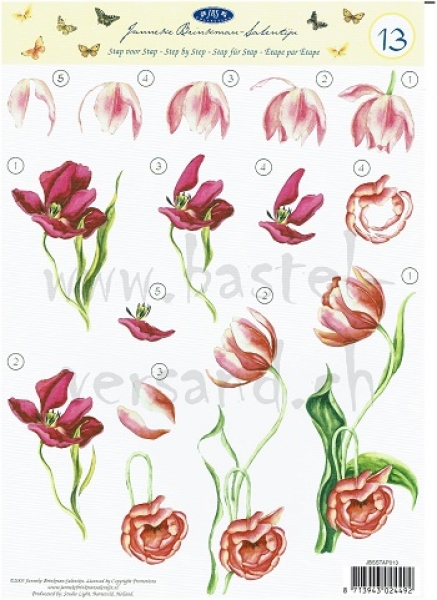 3D Schnittbogen Tulpen