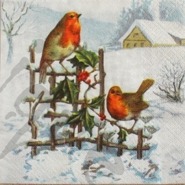 Serviette 2 rotkehlchen