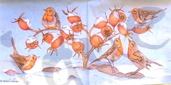 Serviette vögel auf ast (Molca)