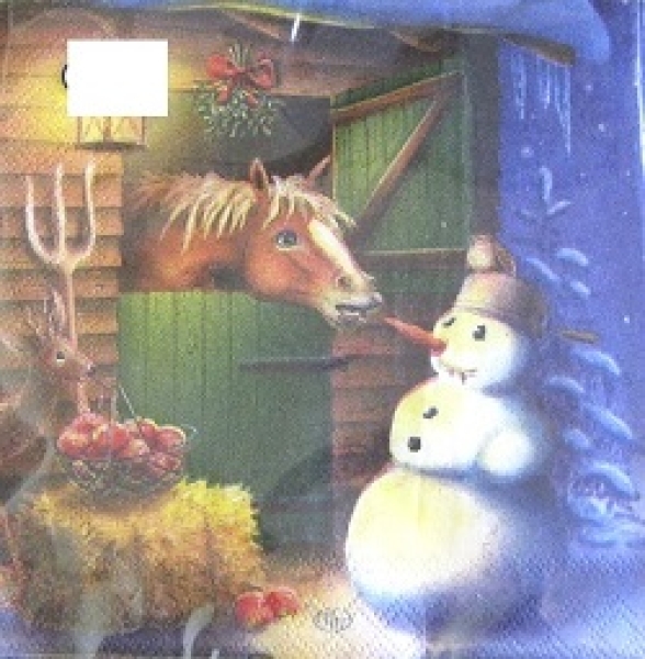 Serviette carrot robber (2Stk.)