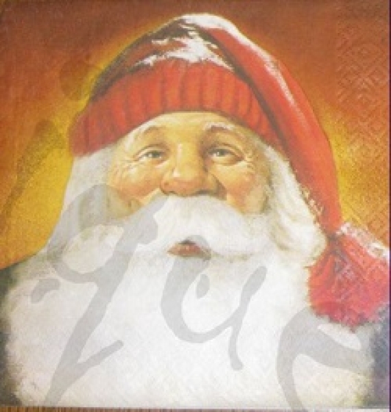 Serviette Santa