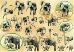 3D Schnittbogen Elefanten