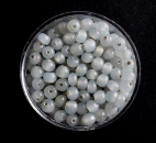 Glasperle 3mm hellgrau