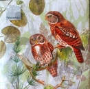 Serviette pair of owls